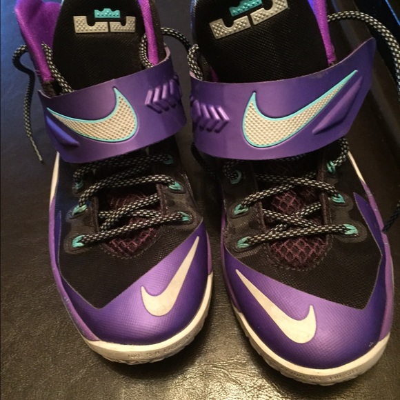 Lebron Sneakers