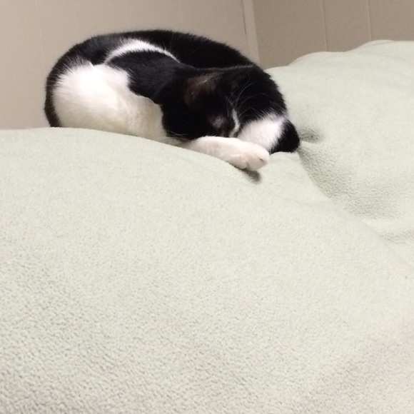 Meet your Posher, Eva - Picture 1 of 1