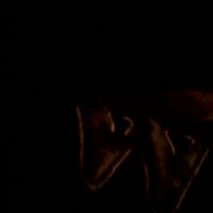 Meet your Posher, Maris