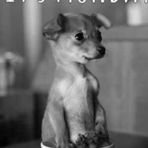 Meet your Posher, Melisha