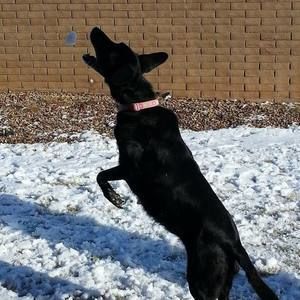 Meet your Posher, Eli