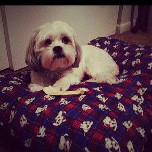 Meet your Posher, Courtney