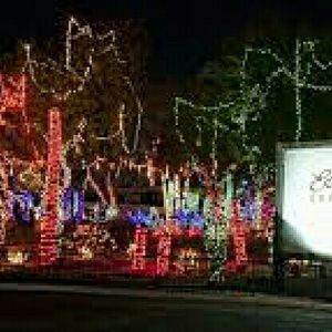 Meet your Posher, Jasmin