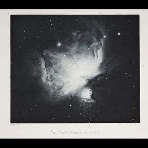 Meet your Posher, Rennic