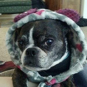 Meet your Posher, Desiree