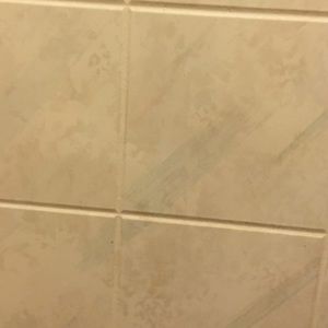 Meet your Posher, Abigail