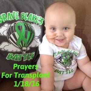 Meet your Posher, Adena