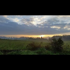 Meet your Posher, Danita