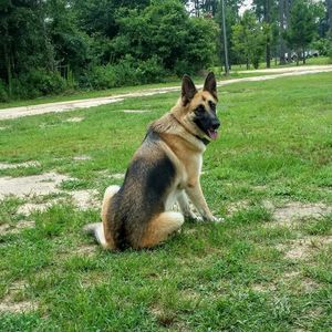 Meet your Posher, Alisa