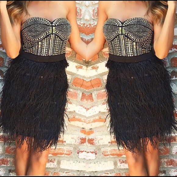 Brand New.. Arc & Co Feather Dress