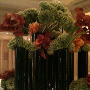 Meet your Posher, Anne