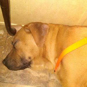 Meet your Posher, Jody