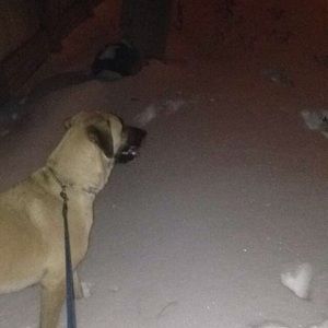 Meet your Posher, Ariane