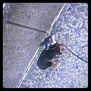 Meet your Posher, Karla