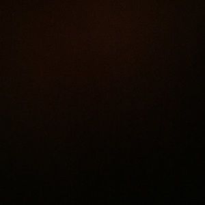 Meet your Posher, Toni