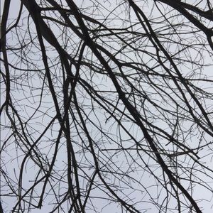 Meet your Posher, Gabi