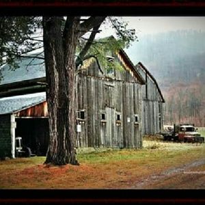 Meet your Posher, Laurie