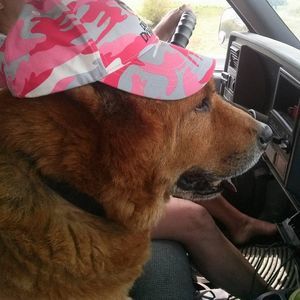 Meet your Posher, Lori