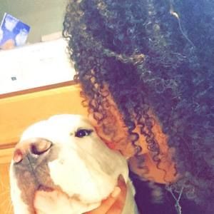 Meet your Posher, Chaynee-raven