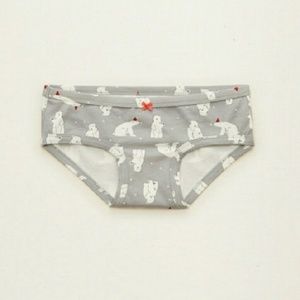 Aerie "Silver Shadow" underwear