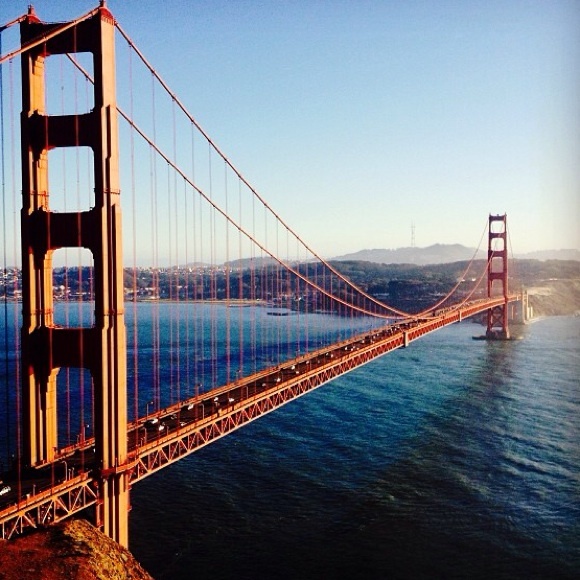 MEET YOUR FRIENDLY POSHER - Picture 2 of 3