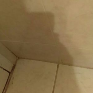 Meet your Posher, Erique