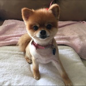 Meet your Posher, Michelle