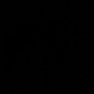 Meet your Posher, Naomi