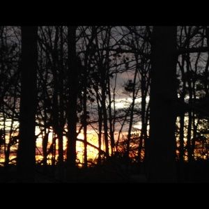 Meet your Posher, Tamara