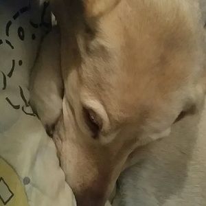 Meet your Posher, Davena