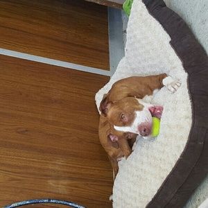 Meet your Posher, Stacie