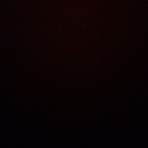 Meet your Posher, Terrell