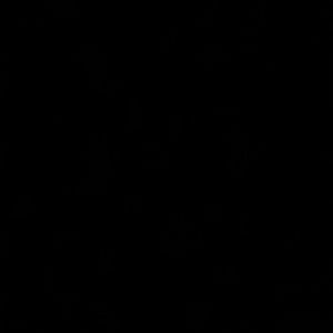 Meet your Posher, Rose