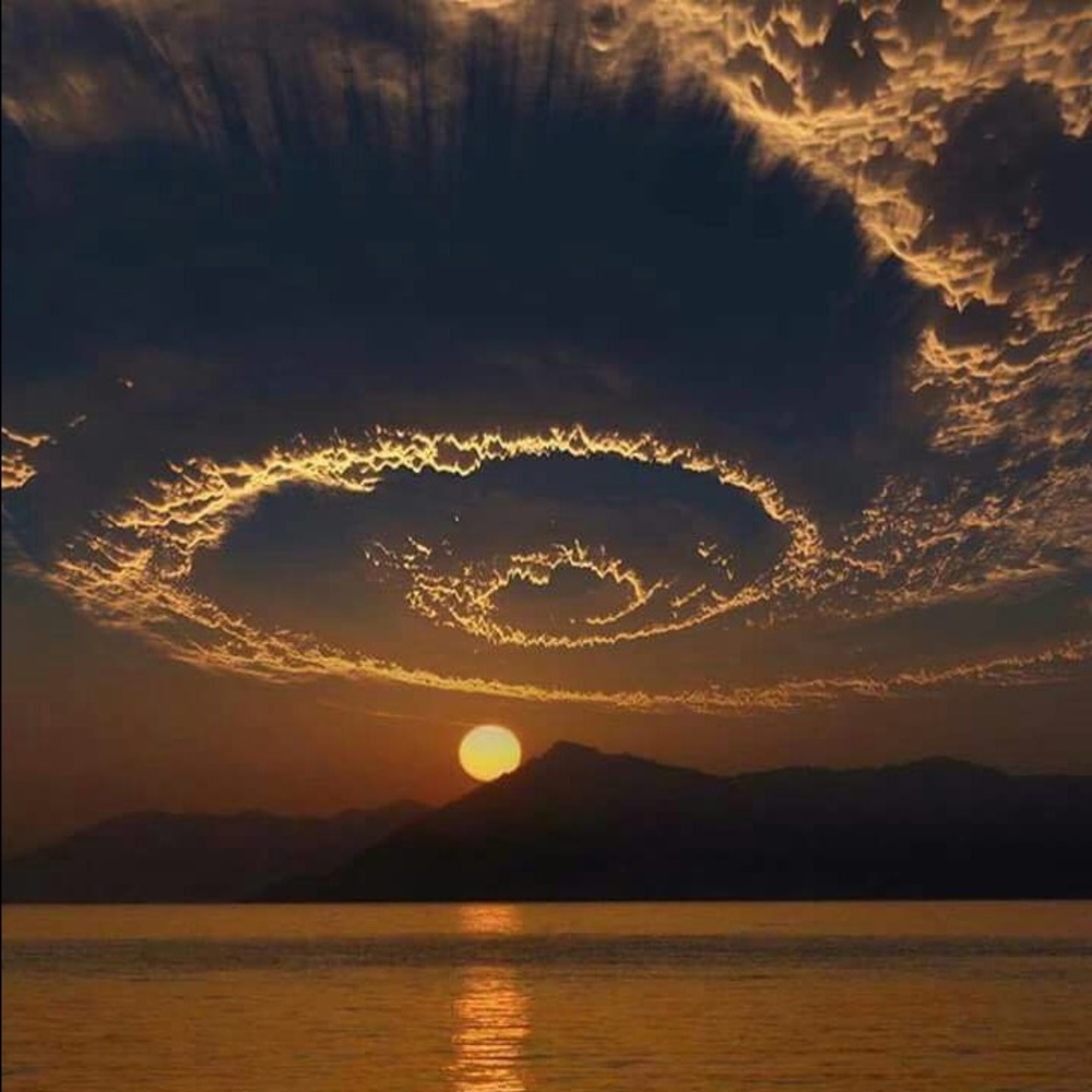 Meet your Posher, Nadia