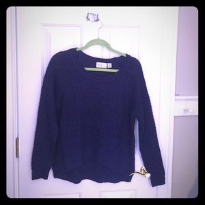Dark purple/blue sweater