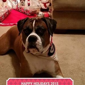 Meet your Posher, Lynn