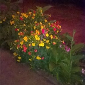 Meet your Posher, Lucia