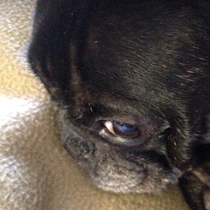 Meet your Posher, Alexandra