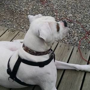 Meet your Posher, Jennifer