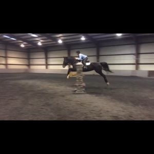 Meet your Posher, Frankie