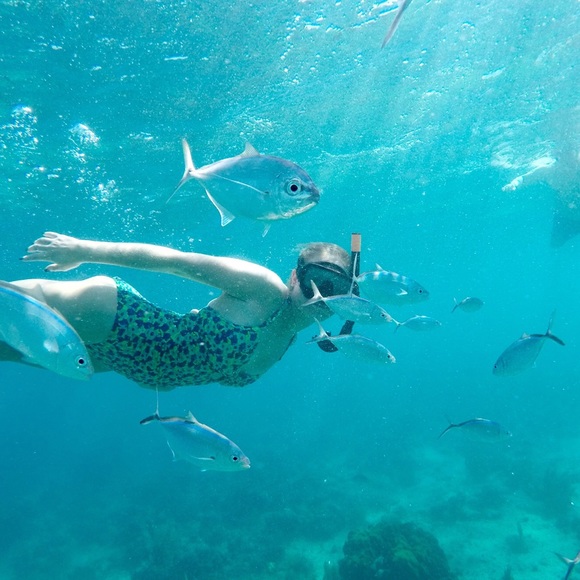 Meet your Posher, Ana - Picture 1 of 1