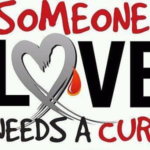 Meet your Posher, Shelly