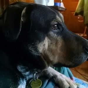 Meet your Posher, Deirdre