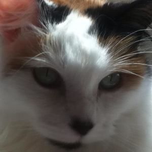 Meet your Posher, Renate