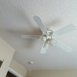 Meet your Posher, Torri