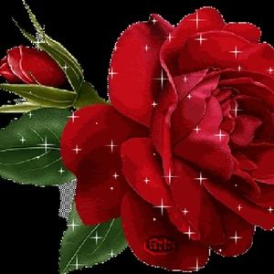 Meet your Posher, Francisca