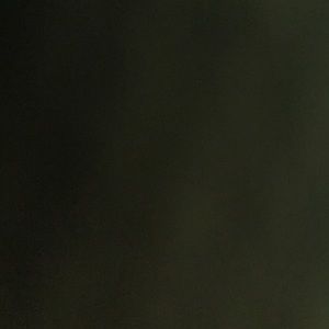 Meet your Posher, Bailey