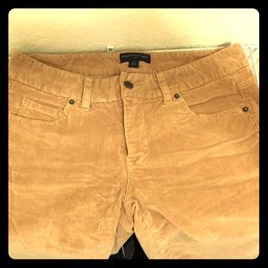 Banana Republic Velvet pants - great color