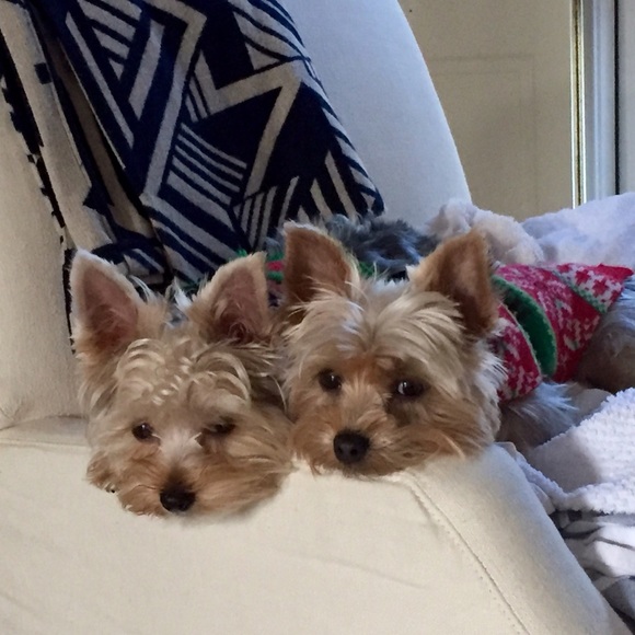 Meet your Posher, Ashley