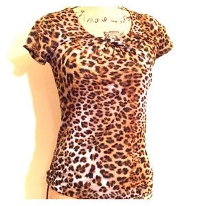 Sheer Cheetah Print Top